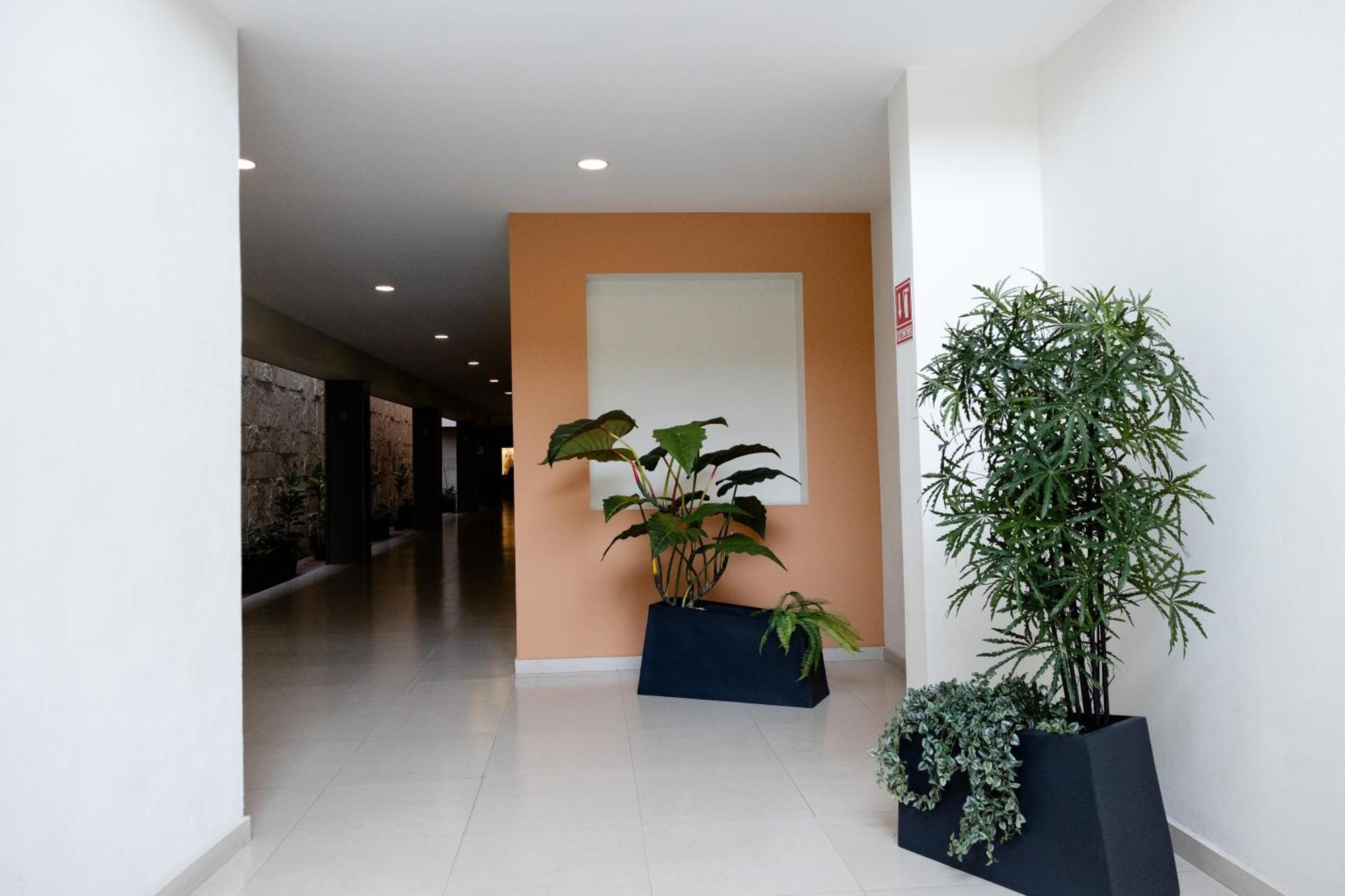 Hotel Refugio San Juan de los Lagos Dış mekan fotoğraf